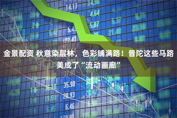 金景配资 秋意染层林，色彩铺满路！普陀这些马路美成了“流动画廊”