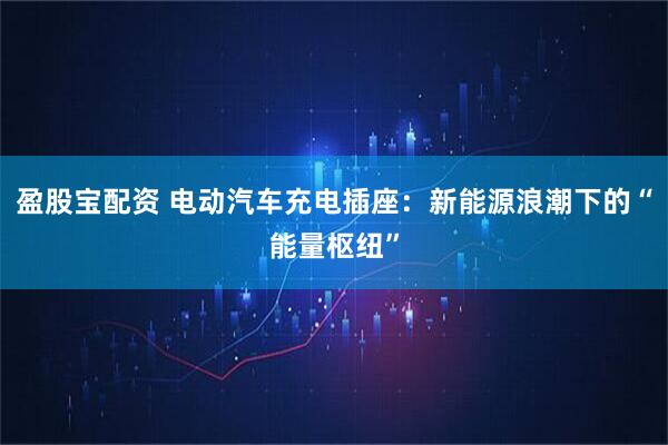 盈股宝配资 电动汽车充电插座：新能源浪潮下的“能量枢纽”