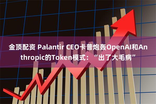金顶配资 Palantir CEO卡普炮轰OpenAI和Anthropic的Token模式：“出了大毛病”